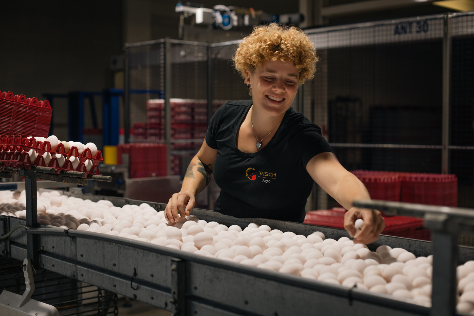 Medewerker werkt aan duurzame productie van eieren bij Visch Agro